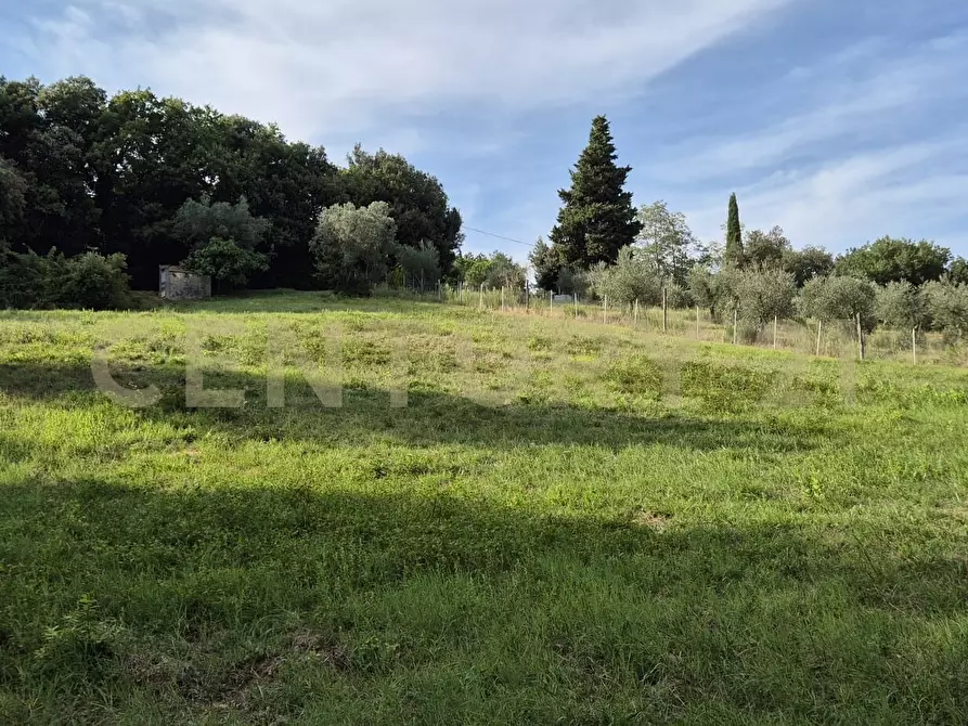 Immagine 3 di Rustico / casale in vendita  in località vignaccia a Civitella Paganico