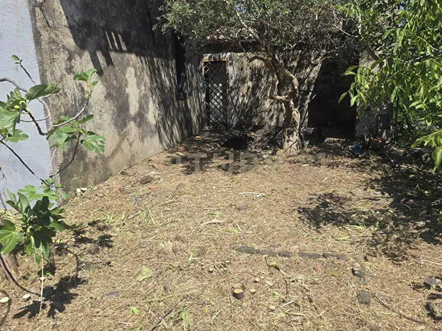 Immagine 24 di Villa in vendita  in Via Panebianco 20 a Castiglione Di Sicilia