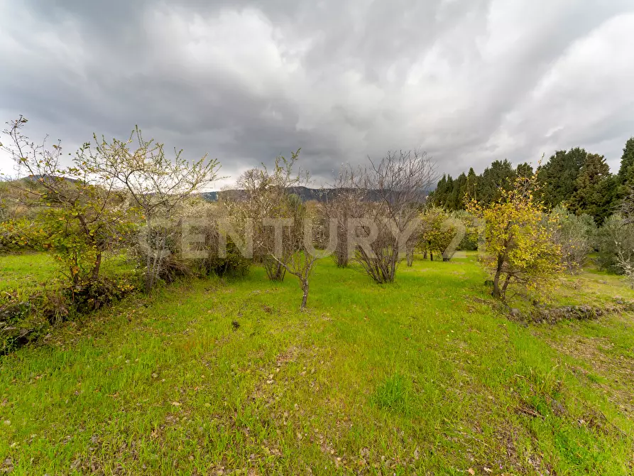 Immagine 44 di Casa indipendente in vendita  in Via Armando Diaz 83 a Zafferana Etnea