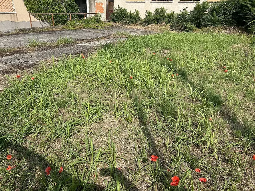 Immagine 36 di Casa indipendente in vendita  in Via Giacomo Puccini 5 a Oppeano