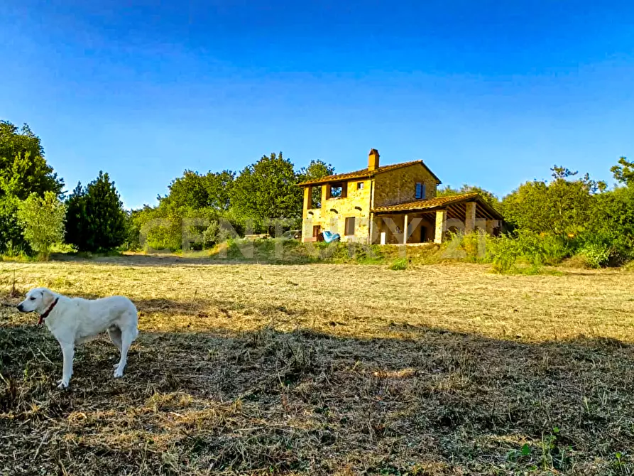 Immagine 6 di Rustico / casale in vendita  in località podere la vena 20 a Civitella Paganico