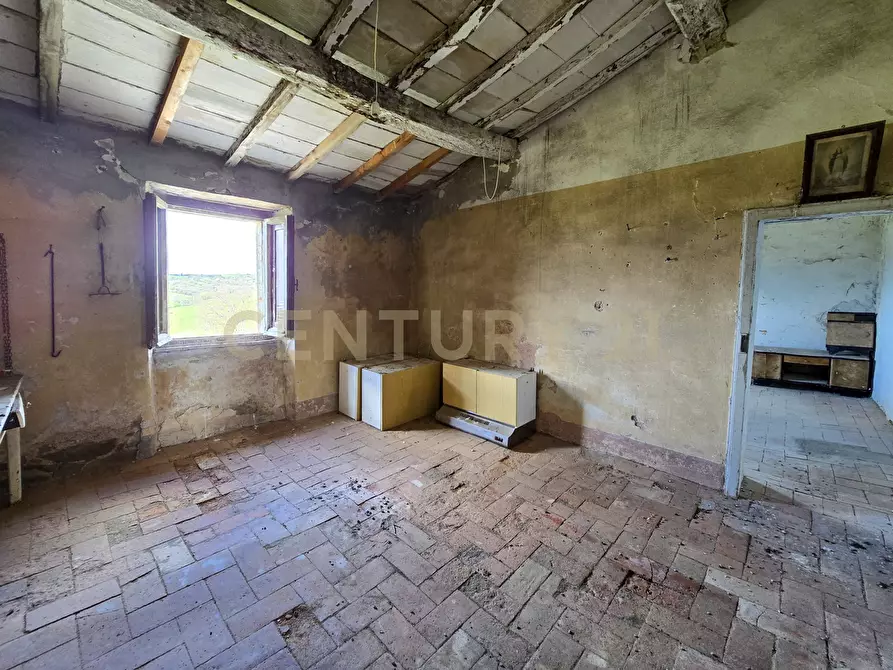 Immagine 8 di Rustico / casale in vendita  in località mandorlaie a Scansano
