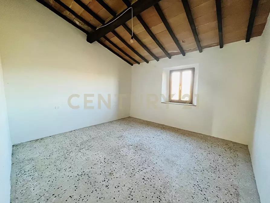 Immagine 25 di Casa bifamiliare in vendita  in località podere pelacane snc a Cinigiano