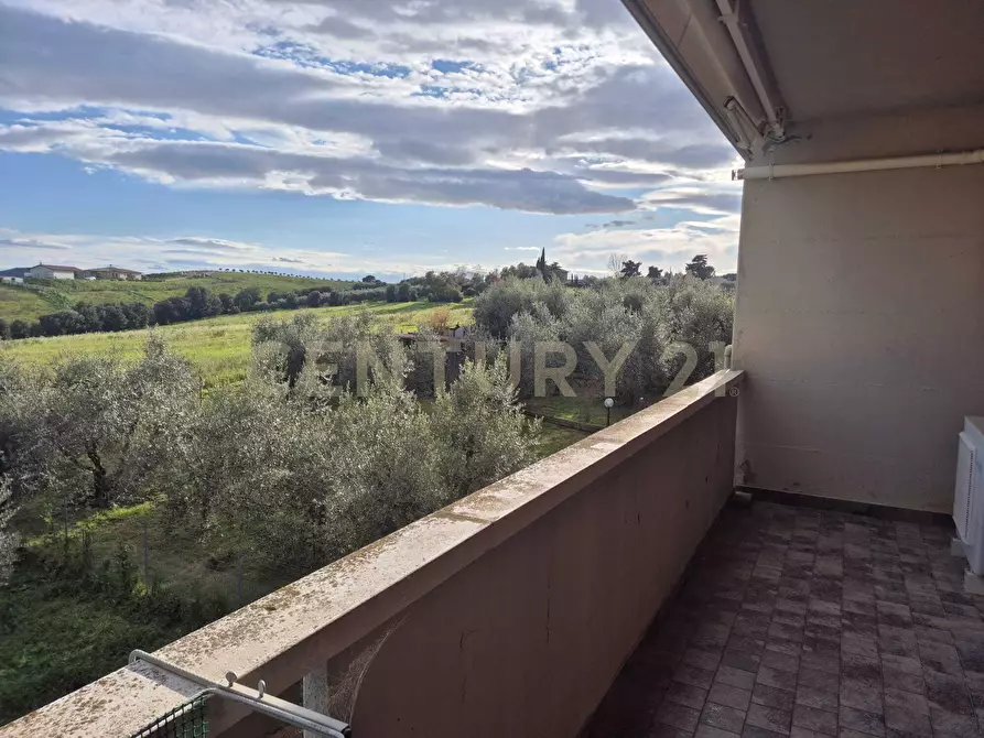 Immagine 40 di Terratetto in vendita  in via fratelli matteini 9 a Grosseto