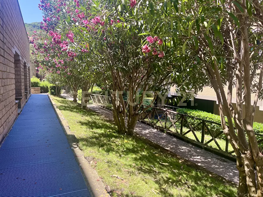 Immagine 2 di Trilocale in vendita  in Via Cala del Pozzo 12 a Castiglione Della Pescaia