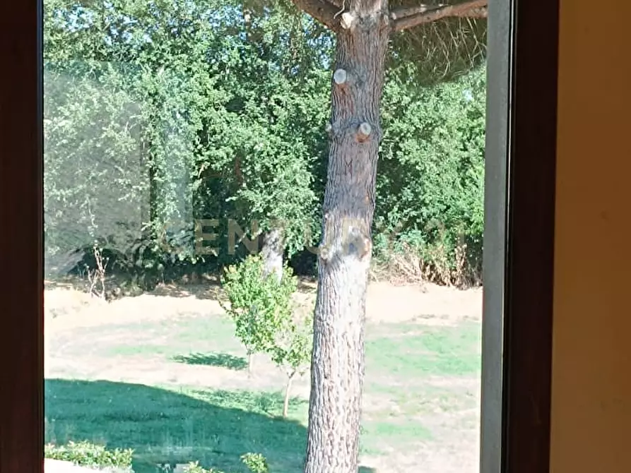 Immagine 42 di Rustico / casale in vendita  a Manciano