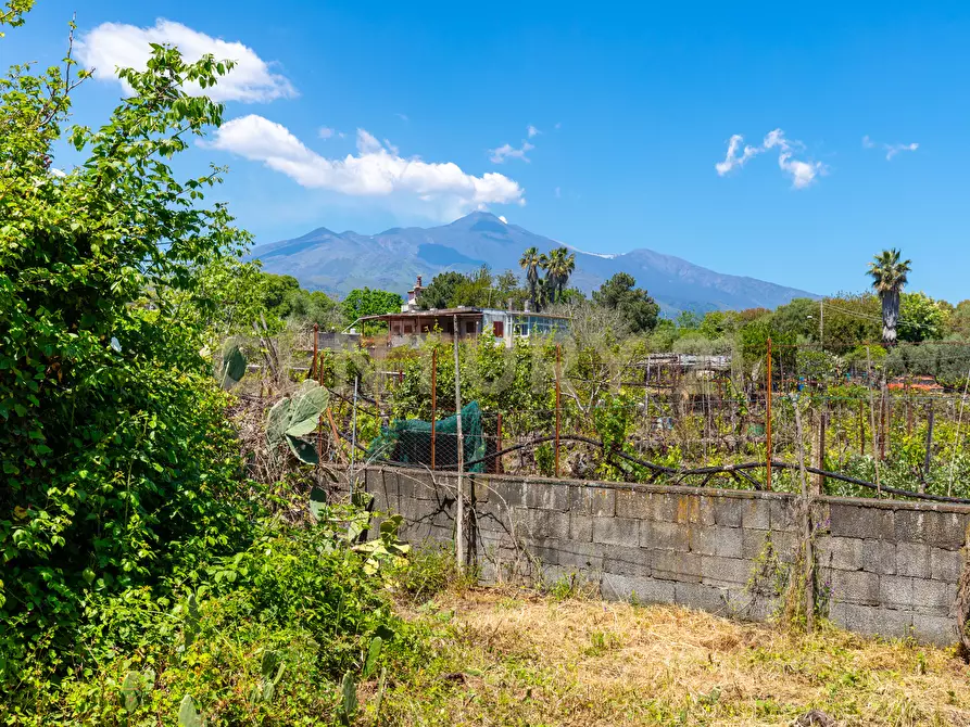 Immagine 8 di Rustico / casale in vendita  in Via Roccamena 84 a Acireale