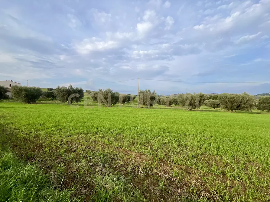 Immagine 1 di Terreno agricolo in vendita  in Località le Case a Grosseto