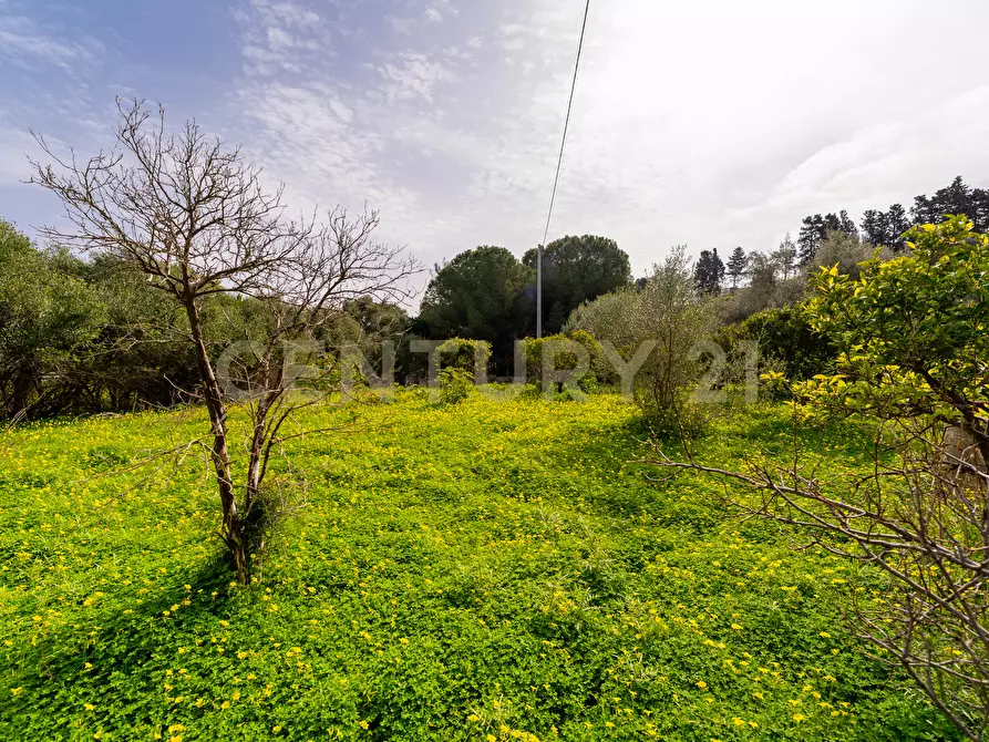 Immagine 32 di Terreno agricolo in vendita  in Contrada Vaccarizzo a Catania