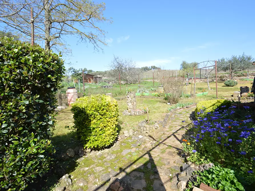 Immagine 30 di Porzione di casa in vendita  in Via delle Case Nuove 1 a Roccastrada