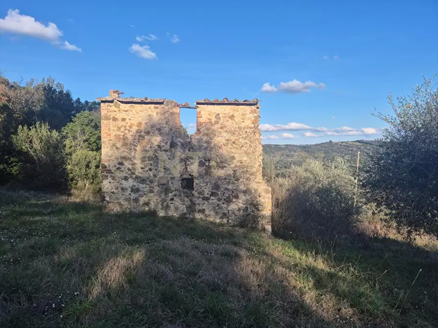Immagine 1 di Rustico / casale in vendita  in loclaità fontepalma snc a Civitella Paganico