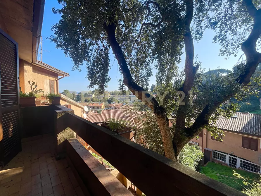 Immagine 26 di Villetta a schiera in vendita  in Via degli Oleandri a Monte Argentario