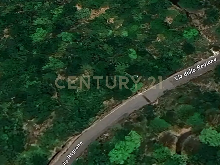 Immagine 1 di Terreno agricolo in vendita  in Via Monte Difeso a Nicolosi