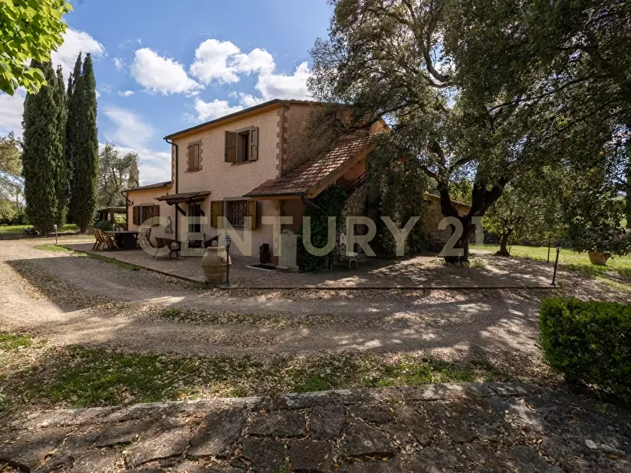 Immagine 14 di Rustico / casale in vendita  in località poggetto dell'orso snc a Roccastrada