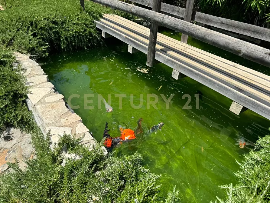 Immagine 16 di Porzione di casa in vendita  in Via degli Atleti a Monte Argentario
