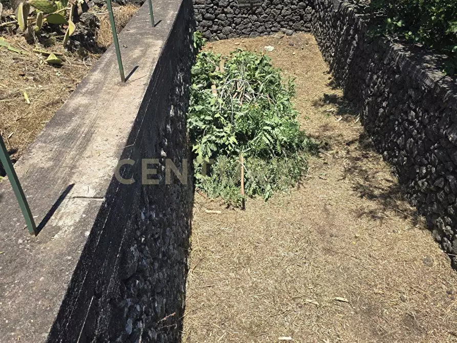 Immagine 27 di Villa in vendita  in Via Panebianco 20 a Castiglione Di Sicilia