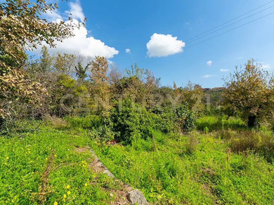 Immagine 24 di Terreno agricolo in vendita  in via giuseppe zinghirino 1 a Giarre