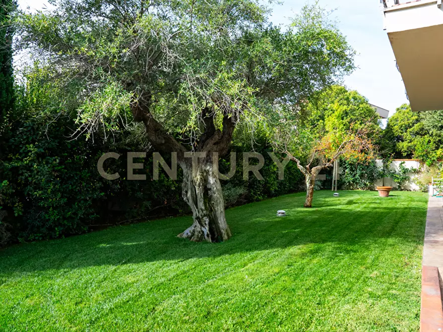 Immagine 2 di Villetta a schiera in vendita  in VIA MASSACCIO a Grosseto