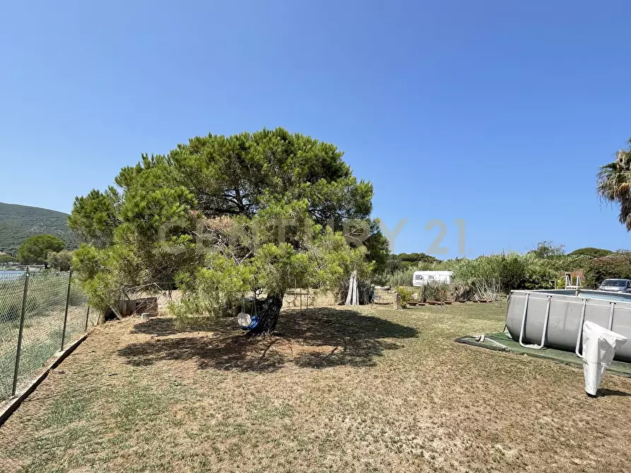 Immagine 21 di Terreno agricolo in vendita  in Strada Provinciale della Giannella a Orbetello