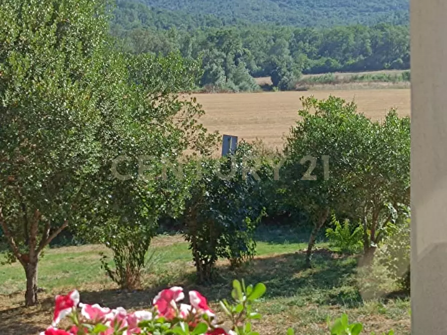 Immagine 17 di Rustico / casale in vendita  a Manciano