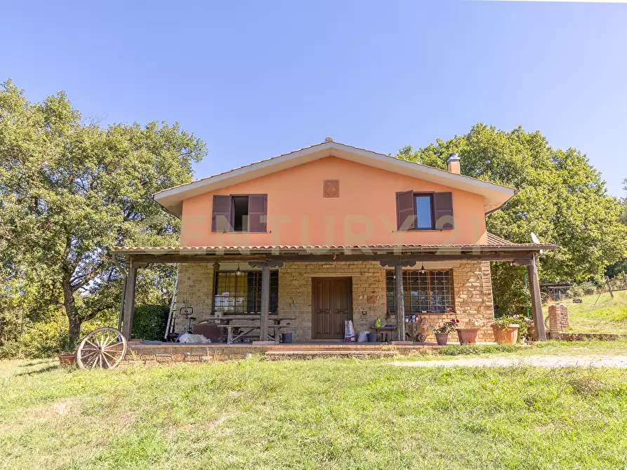 Immagine 1 di Rustico / casale in vendita  in località san quirichello a Barbarano Romano