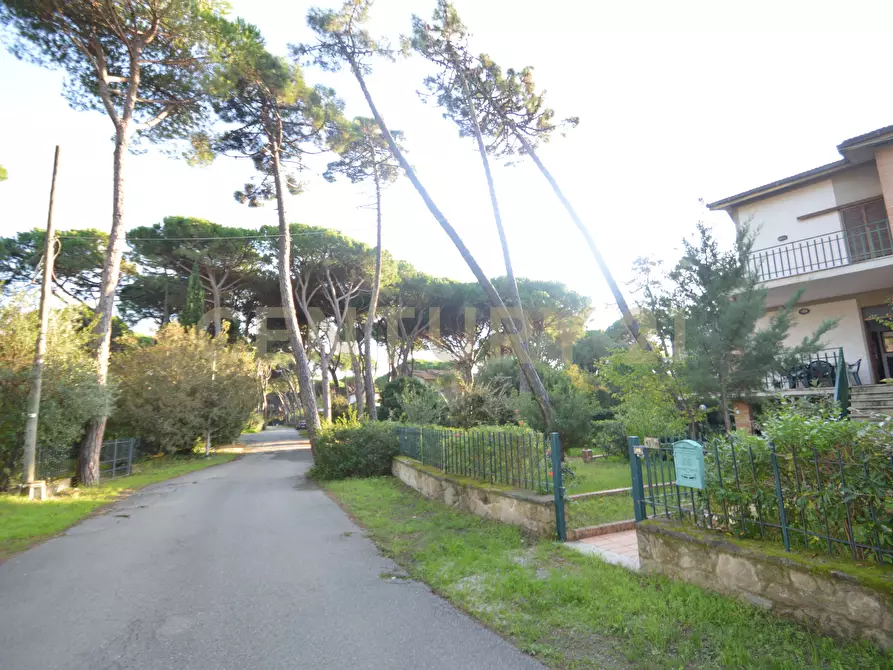 Immagine 5 di Casa trifamiliare in vendita  in Via Murene 35 a Grosseto