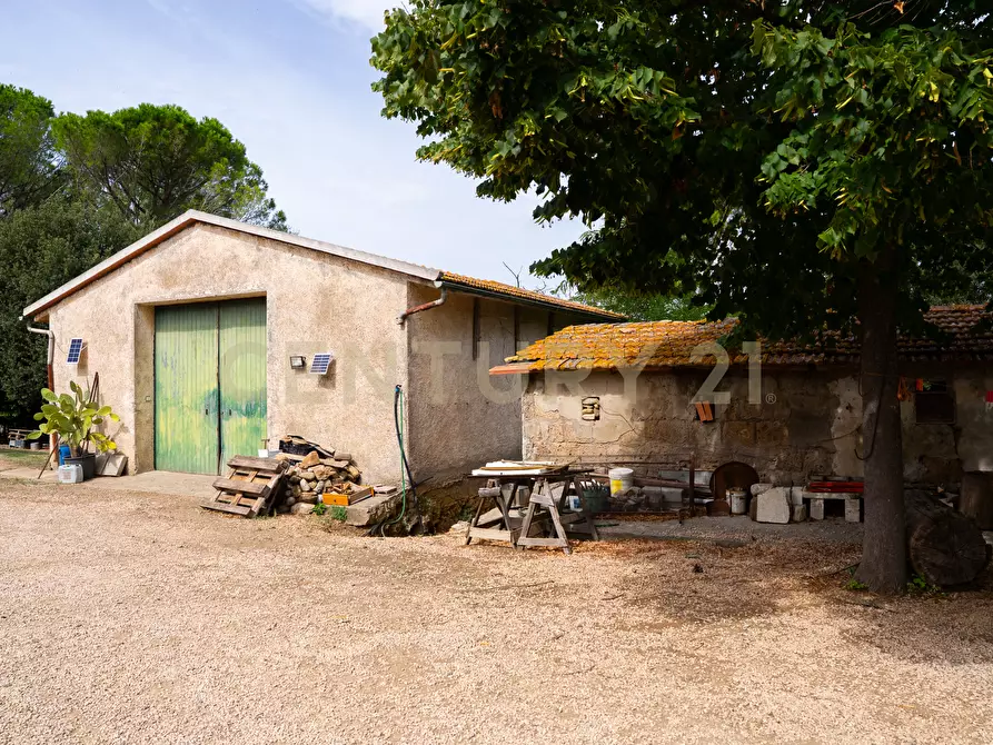 Immagine 22 di Rustico / casale in vendita  in LOCALITA PINZUTI a Manciano