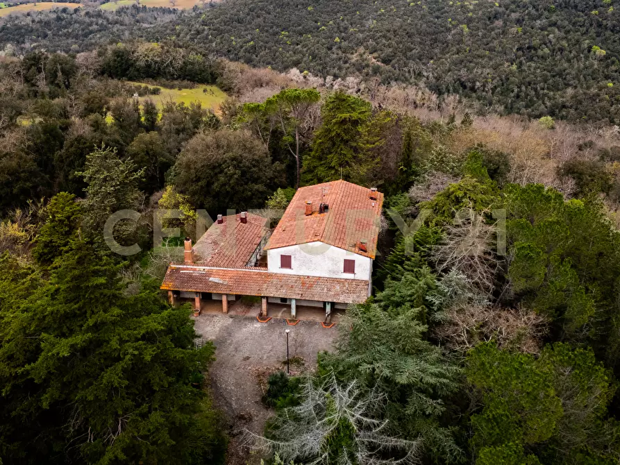 Immagine 3 di Rustico / casale in vendita  in sasso d'ombrone a Cinigiano
