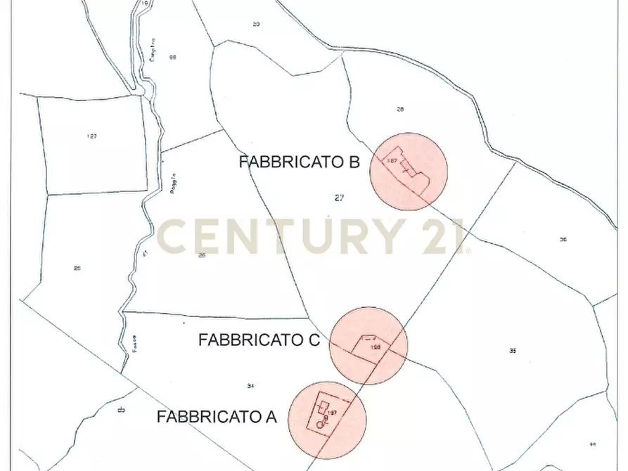 Immagine 30 di Villa in vendita  in Località Valle Maggiore 1 a Magliano In Toscana