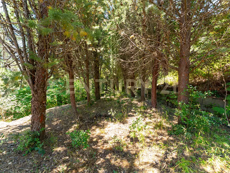 Immagine 21 di Villa in affitto  in Strada Regionale Mareneve SNC a Linguaglossa