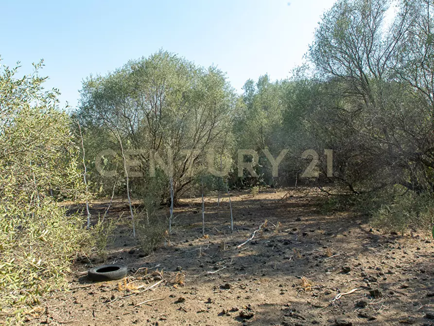 Immagine 16 di Terreno edificabile in vendita  in CONTRA FURERIA snc a Belpasso