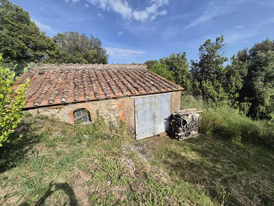 Immagine 34 di Casa bifamiliare in vendita  in località ripoli a Civitella Paganico