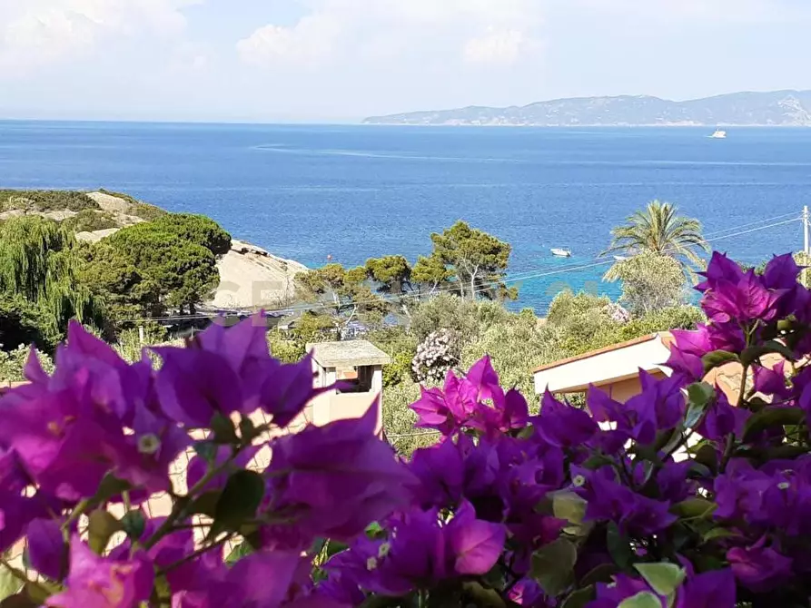 Immagine 33 di Quadrilocale in vendita  in Via dell'Arenella a Isola Del Giglio