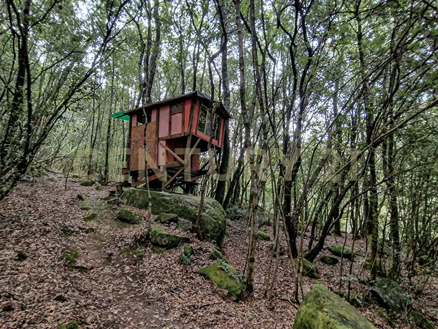 Immagine 2 di Casa indipendente in vendita  in Via della Mengona 32 a Roccastrada