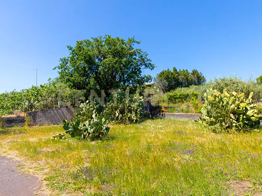 Immagine 8 di Villa in vendita  in SS284 a Adrano