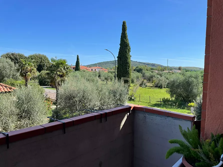 Immagine 12 di Terratetto in vendita  in Via della Costituzione 14/L a Grosseto