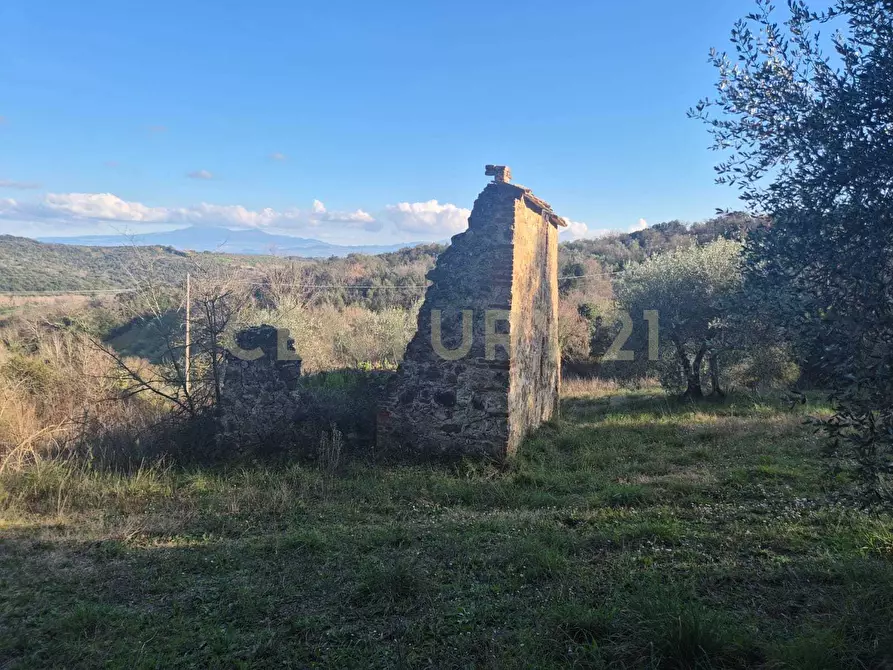 Immagine 9 di Rustico / casale in vendita  in loclaità fontepalma snc a Civitella Paganico