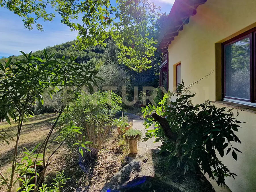 Immagine 5 di Casa indipendente in vendita  in Via della Mengona 32 a Roccastrada