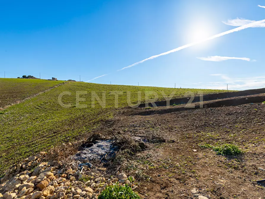 Immagine 20 di Terreno agricolo in vendita  in Strada Provinciale 23b a Centuripe