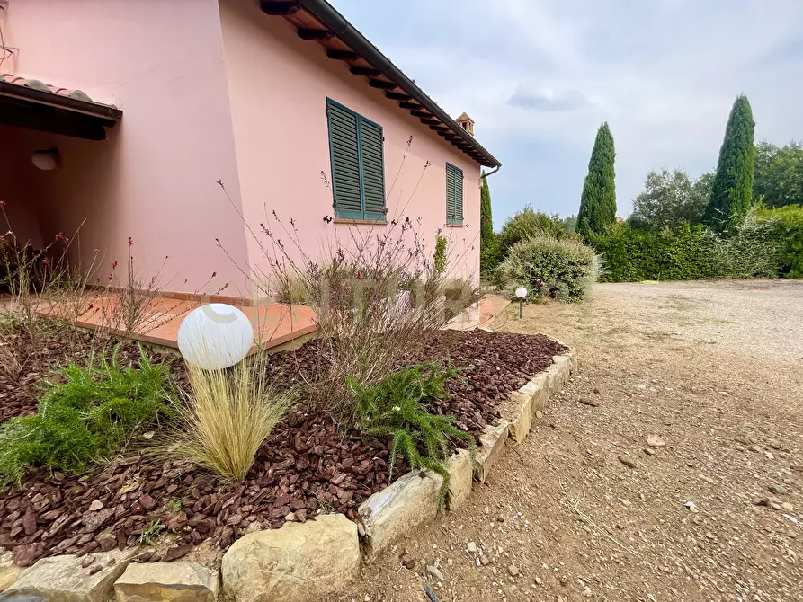 Immagine 10 di Azienda agricola in vendita  in località colle di lupo a Magliano In Toscana