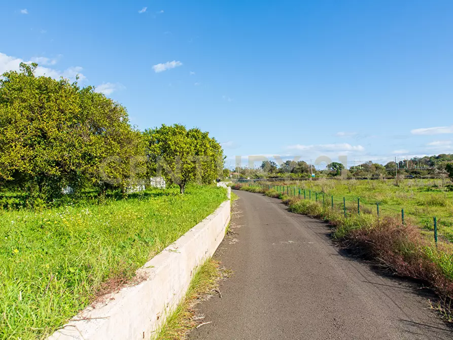 Immagine 28 di Terreno agricolo in vendita  in Via San Piero Patti 108 a Acireale