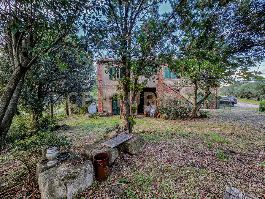 Immagine 19 di Rustico / casale in vendita  in Strada Provinciale Lupo a Gavorrano