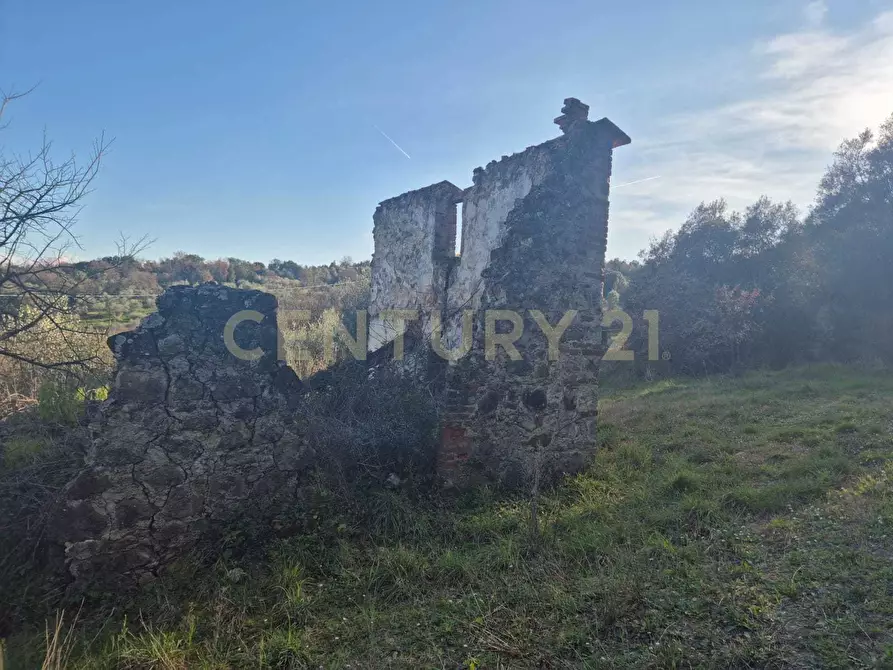 Immagine 11 di Rustico / casale in vendita  in loclaità fontepalma snc a Civitella Paganico