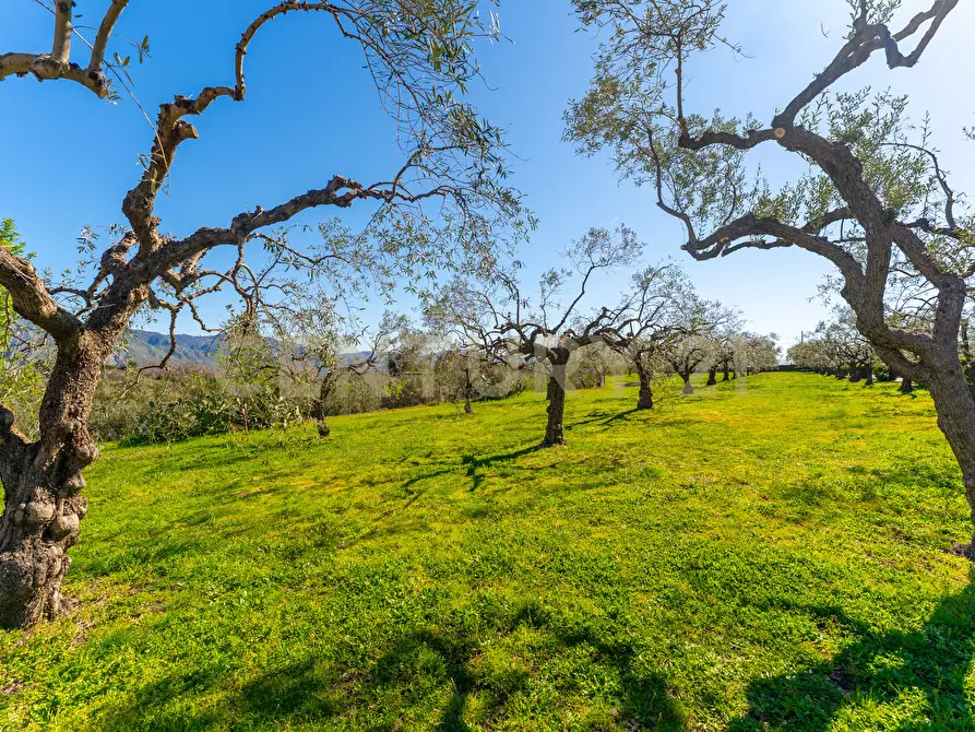 Immagine 32 di Villa in vendita  in Strada Comunale Calderara 5 a Randazzo