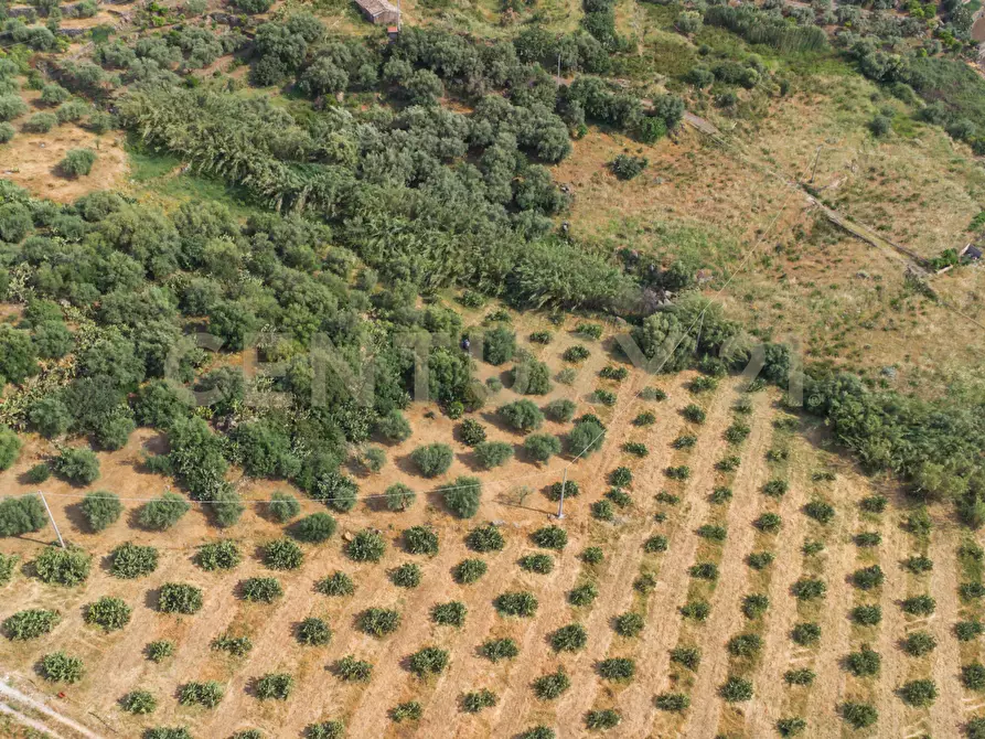 Immagine 24 di Terreno agricolo in vendita  in Via San Leo a Adrano