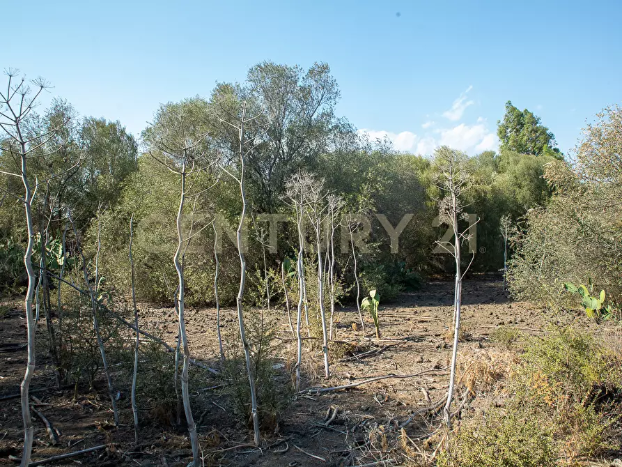 Immagine 20 di Terreno edificabile in vendita  in CONTRA FURERIA snc a Belpasso