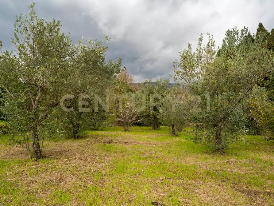 Immagine 48 di Casa indipendente in vendita  in Via Armando Diaz 83 a Zafferana Etnea