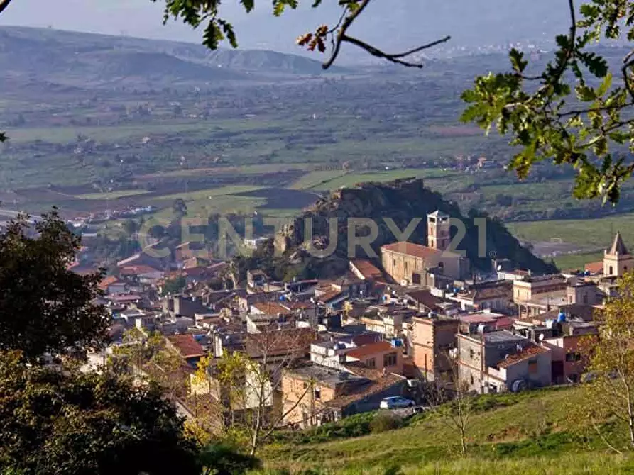 Immagine 1 di Terreno agricolo in vendita  a Maletto