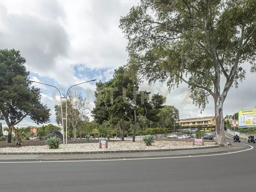 Immagine 153 di Casa indipendente in vendita  in Via San Nullo 5 a Catania