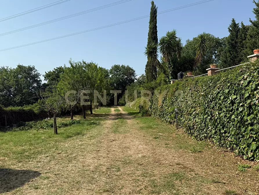 Immagine 6 di Casa indipendente in vendita  in Via Mancini snc a Melizzano